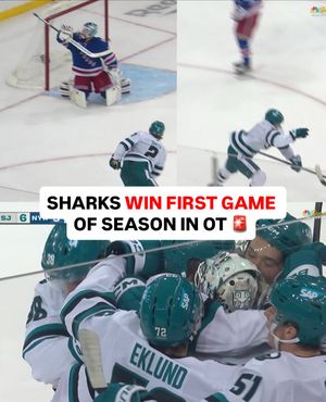 Image post by @br_openice on Instagram