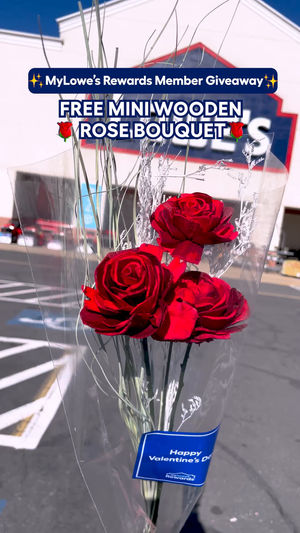 Video post by @lowes on Facebook