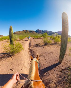 Image post by @gopro on Instagram