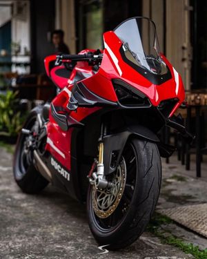 Image post by @panigalers on Instagram