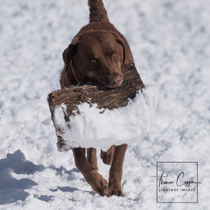 Image post by @lightboximages on Instagram