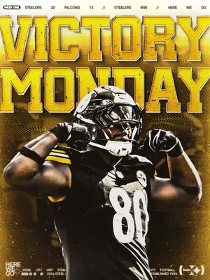 Image post by @steelers on Instagram