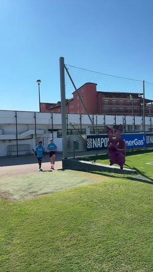 Video post by @sscnapoli on TikTok