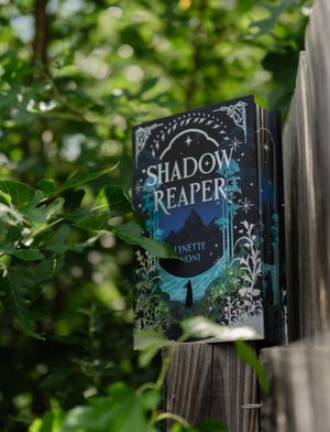 Image post by @fairyloot on Instagram