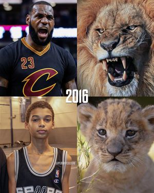 Image post by @playoffculture on Instagram