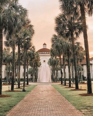 Image post by @gscsports on Instagram