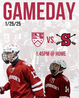 Image post by @govshockey on Instagram