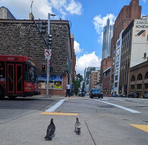 Image post by @PGHCityPaper on Twitter