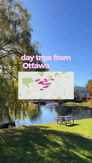 Video post by @morgan.exploring on TikTok