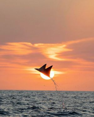 Image post by @sealegacy on Instagram