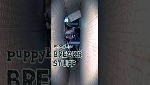 Video post by @evolsoulx on YouTube