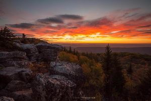 Image post by @canonusa on Instagram
