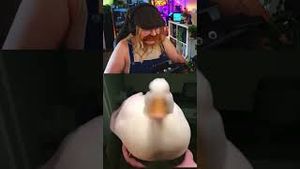 Video post by @pixellizzy on YouTube