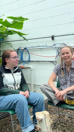 Video post by @oberlin.college on TikTok