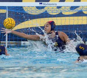 Image post by @calwwpolo on Instagram