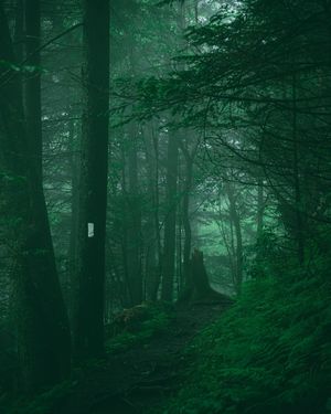 Image post by @jbyrne_photography on Instagram