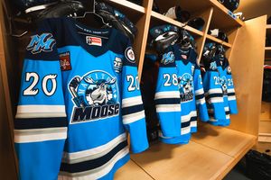 Image post by @ManitobaMoose on Twitter
