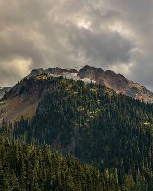 Image post by @whistlerblackcomb on Instagram