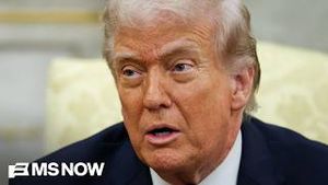 Video post by @msnbc on YouTube