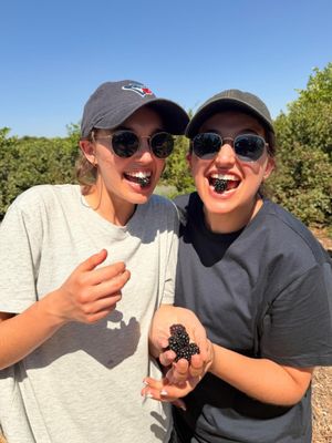 Image post by @birthrightisrael on Instagram