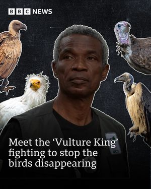 Image post by @bbcnews on Instagram