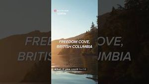 Video post by @bringme on YouTube