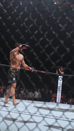 Video post by @ufc on TikTok