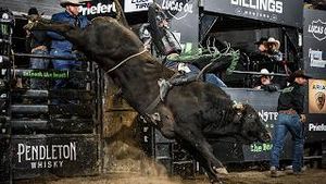 Video post by @pbr on YouTube