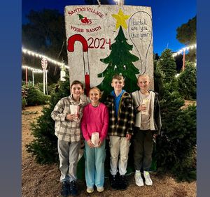 Image post by @alywagner on Instagram