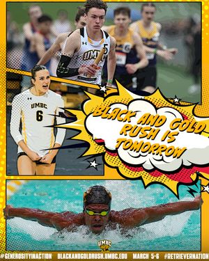 Image post by @umbcathletics on Instagram