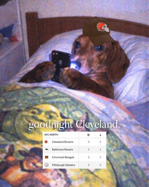 Video post by @browns on TikTok