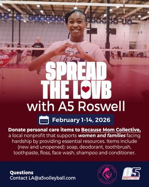 Image post by @a5vball on Instagram