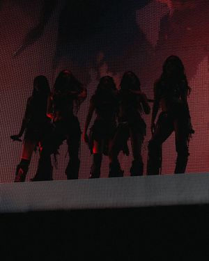 Image post by @thesolections on Instagram