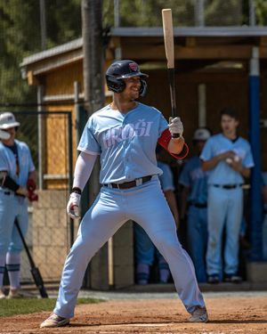 Image post by @BaseballCzech on Twitter