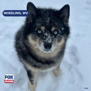Image post by @foxweather on Instagram