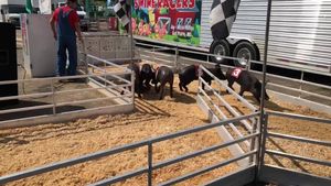 Video post by @MichiganStateFair on Facebook