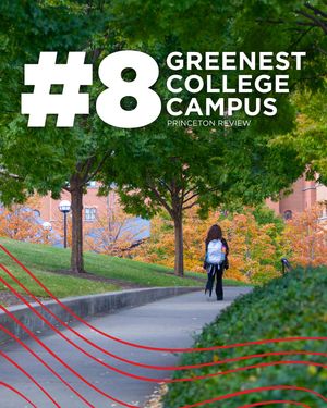 Image post by @uofcincy on Instagram