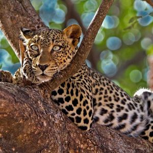 Image post by @AvondaleTravel on Facebook