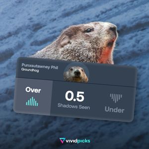 Image post by @vividpicks on Instagram