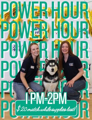 Image post by @huskython on Instagram