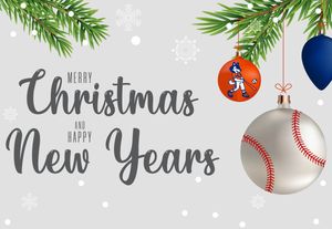 Image post by @HCUHuskiesBSB on Twitter