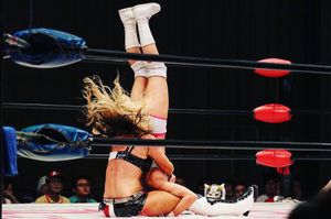 Image post by @tonistorm_ on Instagram