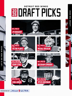 Image post by @detroitredwings on Instagram