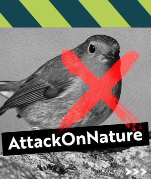 Image post by @rspb on Instagram
