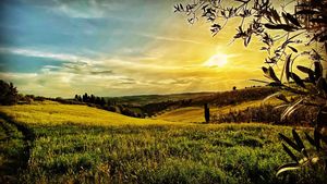Image post by @jeanlaverdi on Instagram