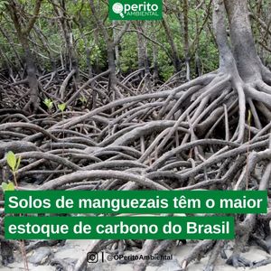Image post by @operitoambiental on Instagram