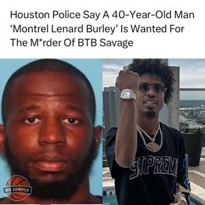 Image post by @nojumper on Instagram