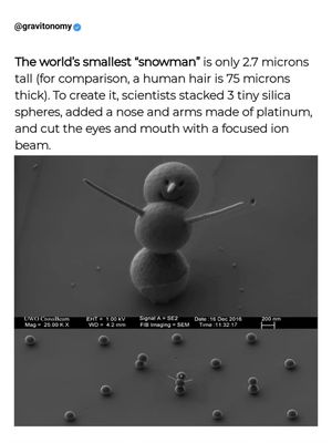 Image post by @gravitonomy on Instagram