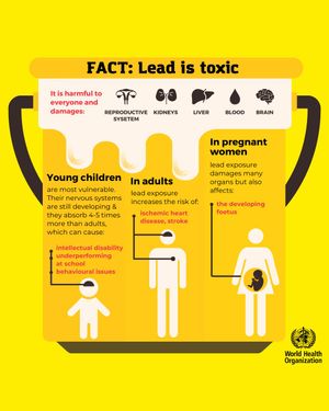Image post by @who on Instagram