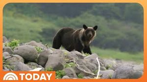 Video post by @today on YouTube